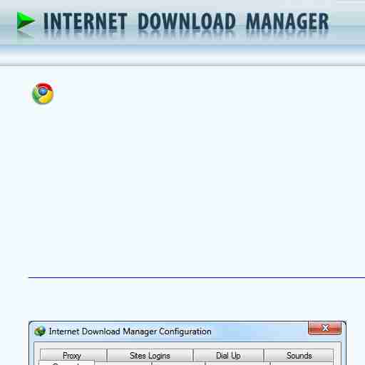 download idmgcext for idm 6.31